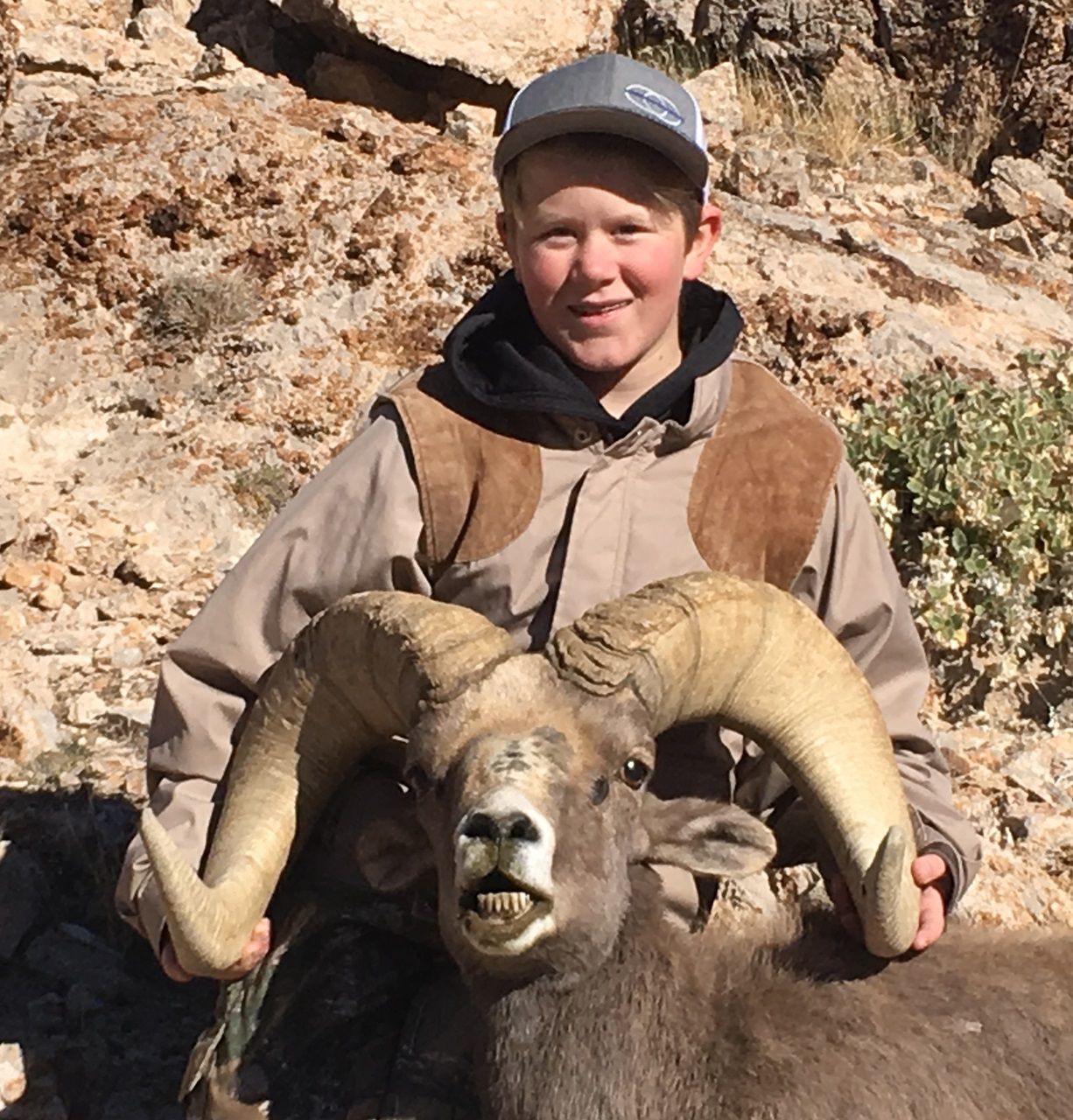 Lemich Gill bighorn